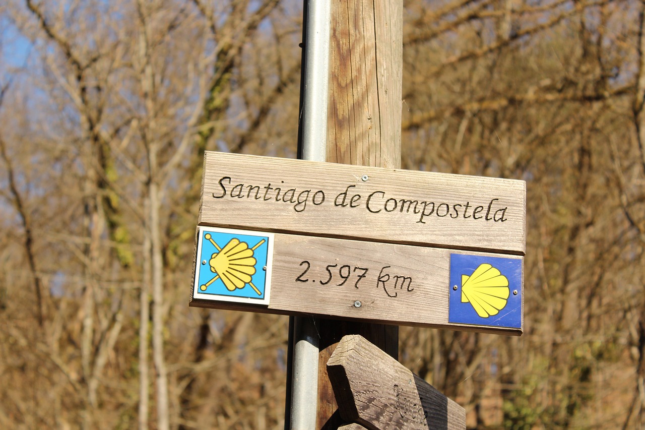 Camino De Santiago Viaja Con Aguere