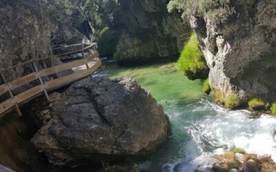 RUTA POR EL RIO BOROSA Y SUS PASARELAS