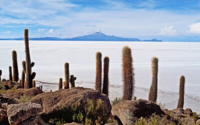 SALAR DE UYUNI, UN MUNDO POR DESCUBRIR