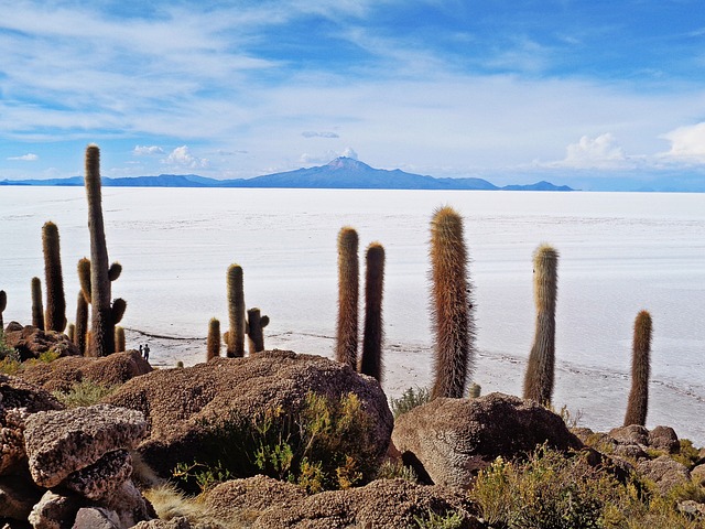 El Salar de Uyuni, Bolivia, es el desierto de sal más grande del mundo situado a 3600 metros sobre el nivel de mar