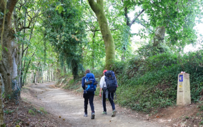 CAMINO DE SANTIAGO PRIMITIVO