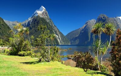 TE ARAROA, EL SENDERO MÁS LARGO DEL MUNDO