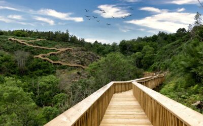 PASARELAS DE MONDEGO, VIVE UNA NUEVA AVENTURA EN PORTUGAL!