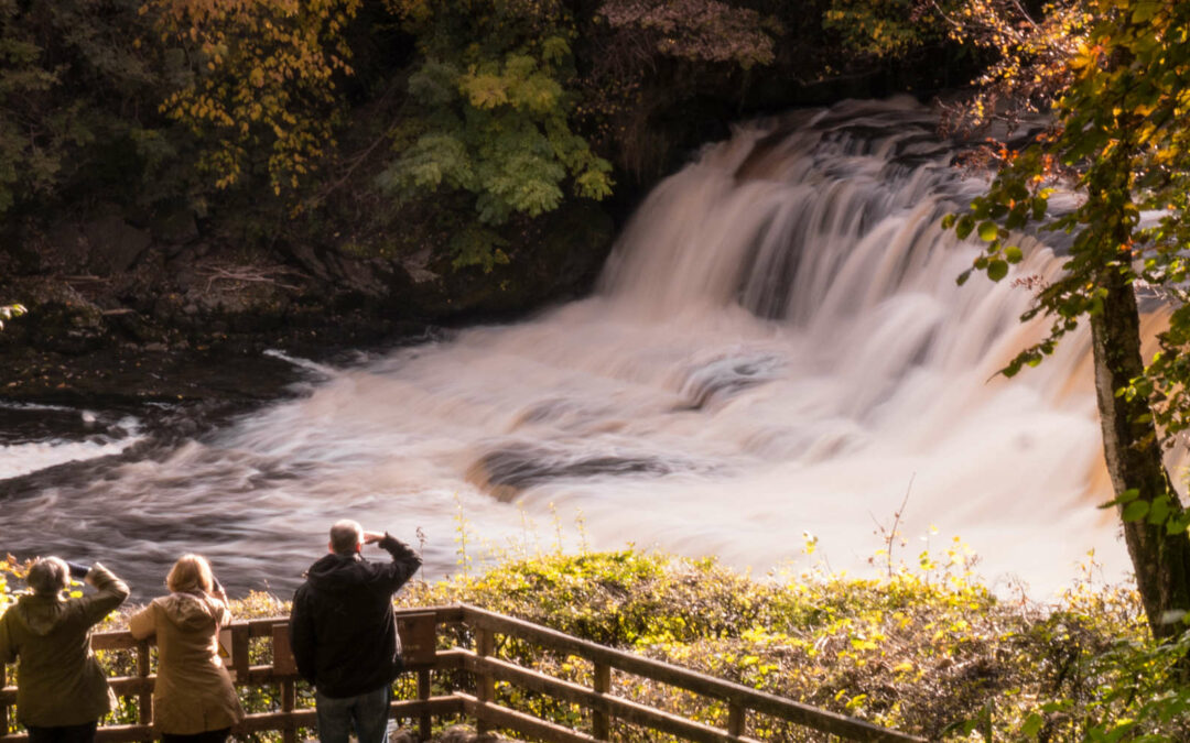 Las Aysgarth Falls son unas espectaculares cascadas situadas en las tierras altas de Inglaterra rodeadas de exuberantes bosques