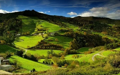 LOS OSCOS, RAICES ASTURIANAS