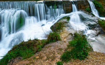 VIAJE A VALENCIA, NATURALEZA EN ESTADO PURO