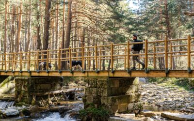 RUTA BOCA DEL ASNO, TESORO DE LA NATURALEZA SEGOVIANA