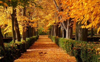 ARANJUEZ, OTOÑO REAL