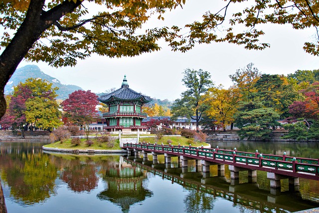 Seúl, la capital de Corea del Sur, es una ciudad a la cabeza de la tecnología y la modernidad