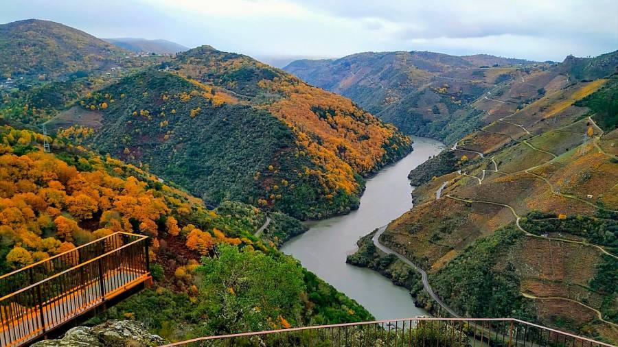 Galicia es un lugar que siempre sorprende y al que se quiere visitar una y otra vez. La zona de la Ribeira Sacra posee una belleza singular y única