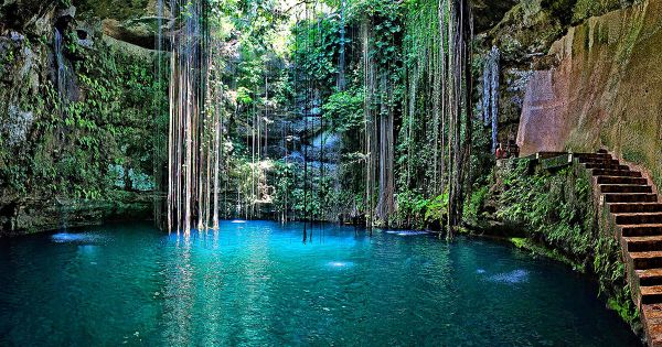 Los cenotes de la Península de Yucatán son un gran atractivo turístico donde disfrutar de un entorno natural único