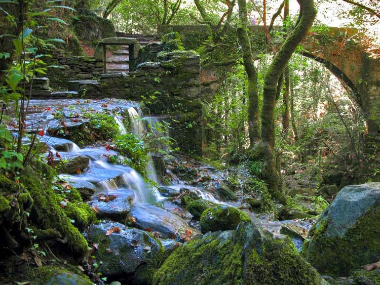 Nuestro próximo viaje a Galicia del mes de octubre de invita a conocer rincones naturales