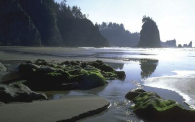 COSTA DE LOS NAUFRAGIOS DE LA PENÍNSULA OLÍMPICA, WASHINGTON