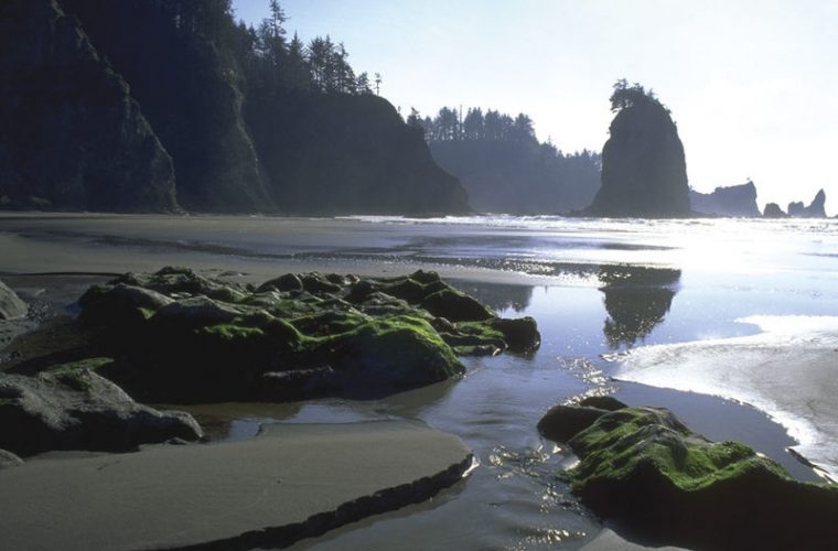 COSTA DE LOS NAUFRAGIOS DE LA PENÍNSULA OLÍMPICA, WASHINGTON