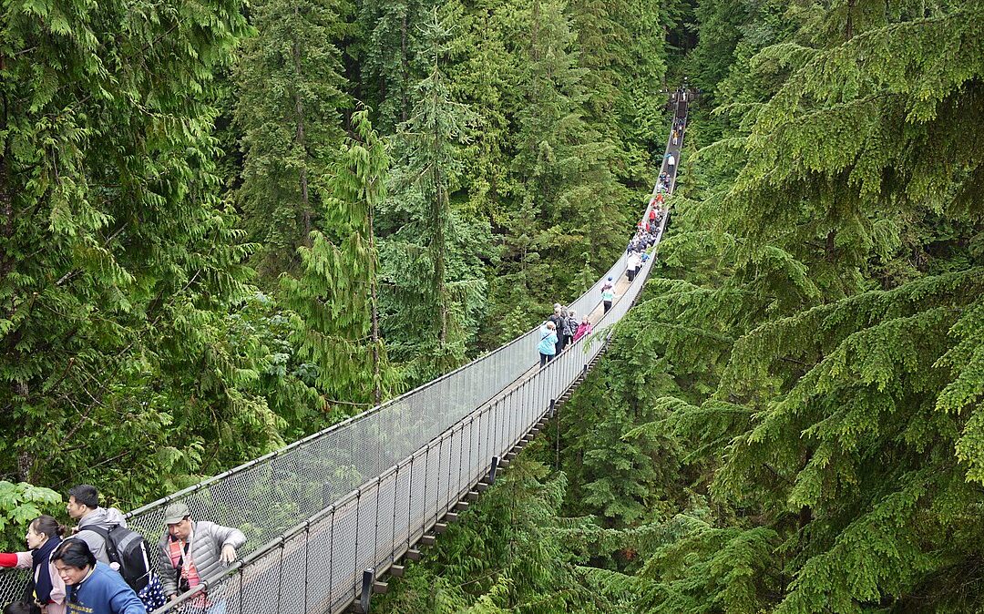 Ubicado en el corazón de la exuberante naturaleza de Vancouver, el Puente Colgante Capilano es una maravilla arquitectónica