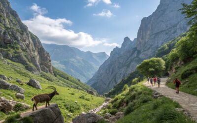 SENDERISMO EN ESPAÑA: NATURALEZA, AVENTURA Y PAISAJES DE ENSUEÑO