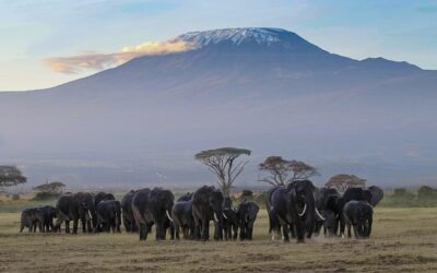 KILIMANJARO, LA JOYA NEVADA DE ÁFRICA