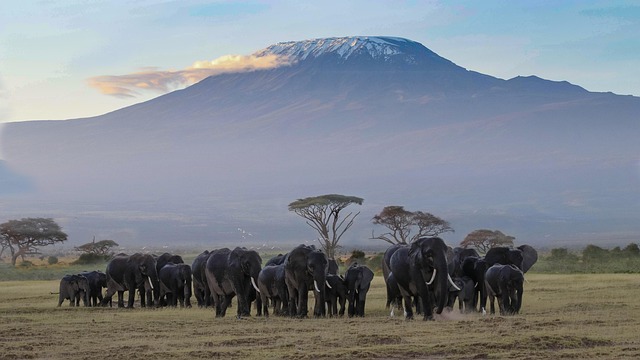 El Kilimanjaro es un volcán inactivo compuesto por tres conos
