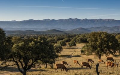 PARQUE NACIONAL DE CABAÑEROS, TESORO NATURAL