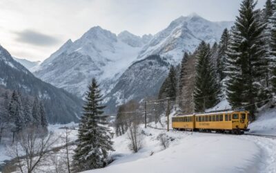VIAJE A LA CERDANYA DESDE EL TREN AMARILLO