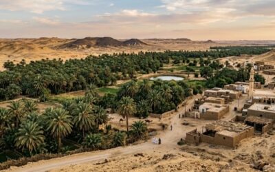 OASIS DE BAHARIYA, VERGEL EN EL CORAZÓN DEL DESIERTO EGIPCIO
