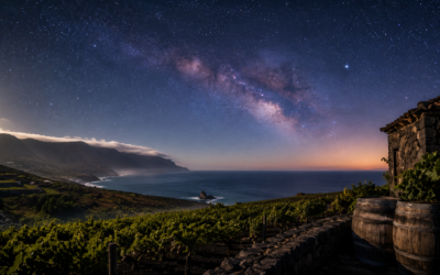 ESTRELLAS Y BODEGAS «LA PALMA»