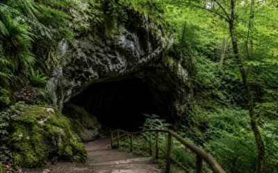 ZUGARRAMURDI, EL BOSQUE DONDE AÚN SUSURRAN LAS LEYENDAS