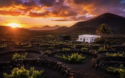 ARCHIPIÉLAGO CHINIJO Y LA GERIA: ESENCIA DE LANZAROTE