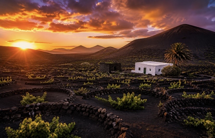 Lanzarote alberga dos de los paisajes más singulares de Canarias: el Archipiélago Chinijo, el mayor espacio marino protegido de Europa