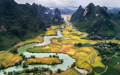 VIETNAM, UN VIAJE ENTRE TRADICIÓN, NATURALEZA Y SABORES