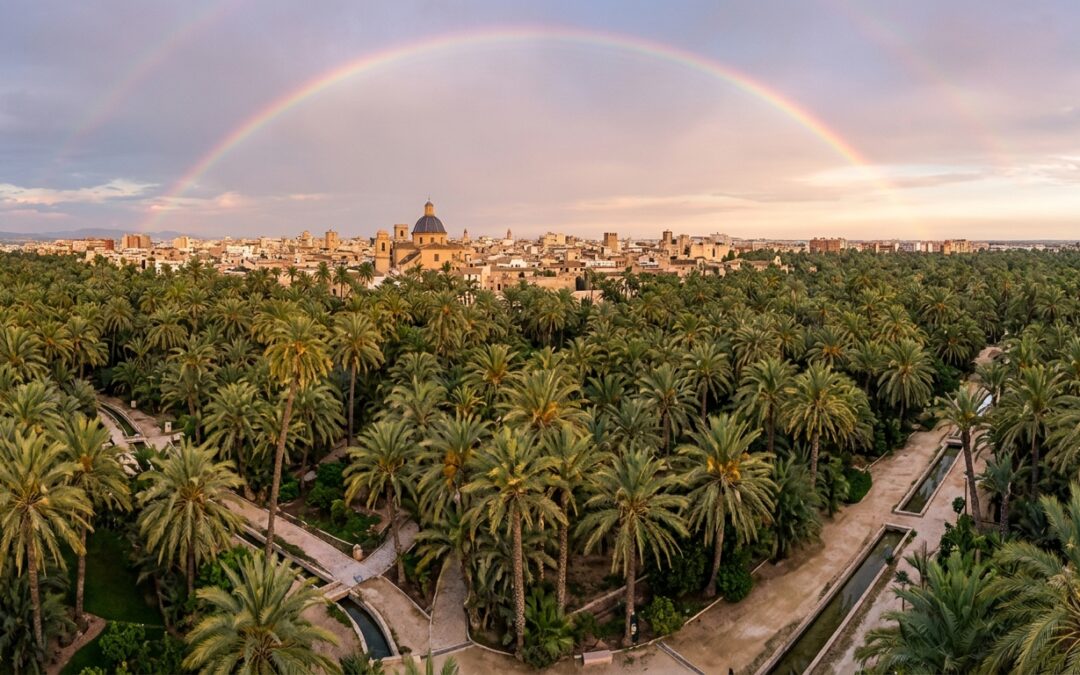 Explora el Palmeral de Elche, Patrimonio de la Humanidad, admira el majestuoso paisaje lunar de los Barrancos de Gebas y sorpréndete con los cristales de la Geoda de Pulpí.