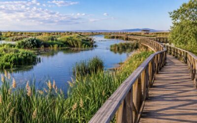 LAS TABLAS DE DAIMIEL, OASIS DE NATURALEZA EN LA MANCHA