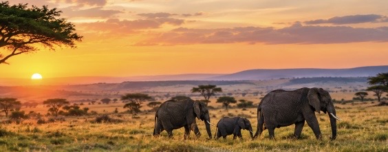 Kenia es uno de los destinos más fascinantes de África